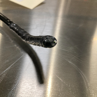 Olympus GIF-Q180 Endoscopy Gastroscope image 0